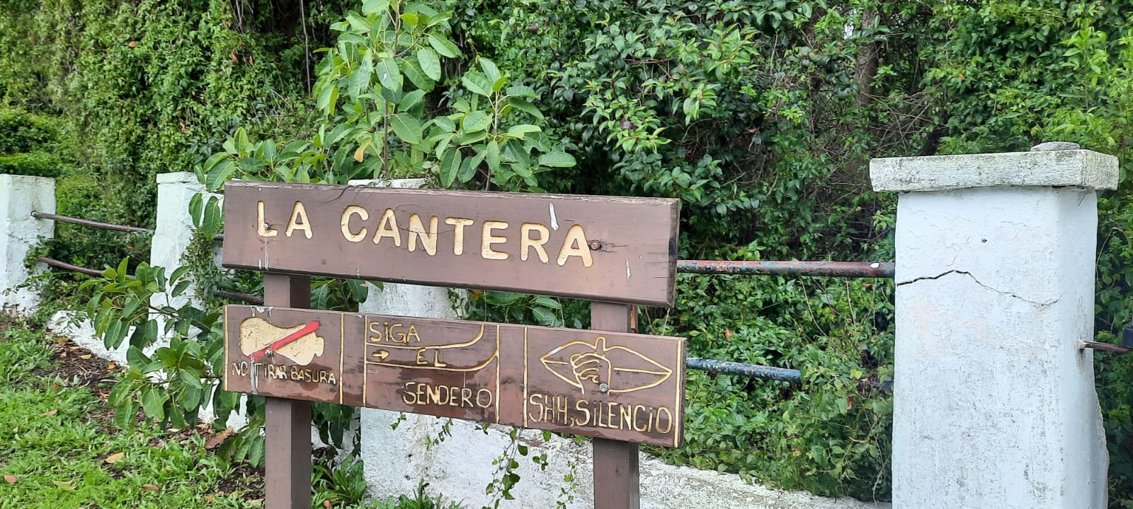 Imagen de la nota
