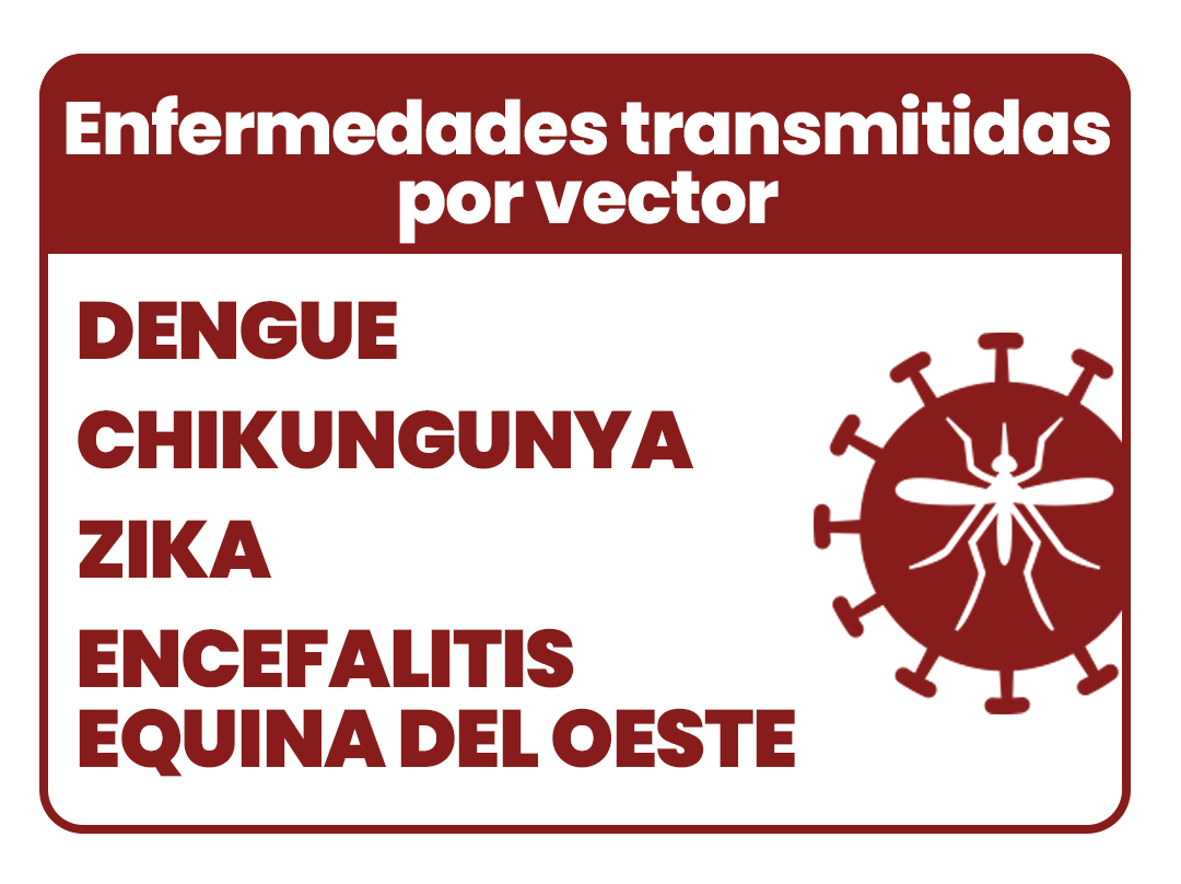 INFORMACIÓN SOBRE ENFERMEDADES TRASMITIDAS POR VECTOR
