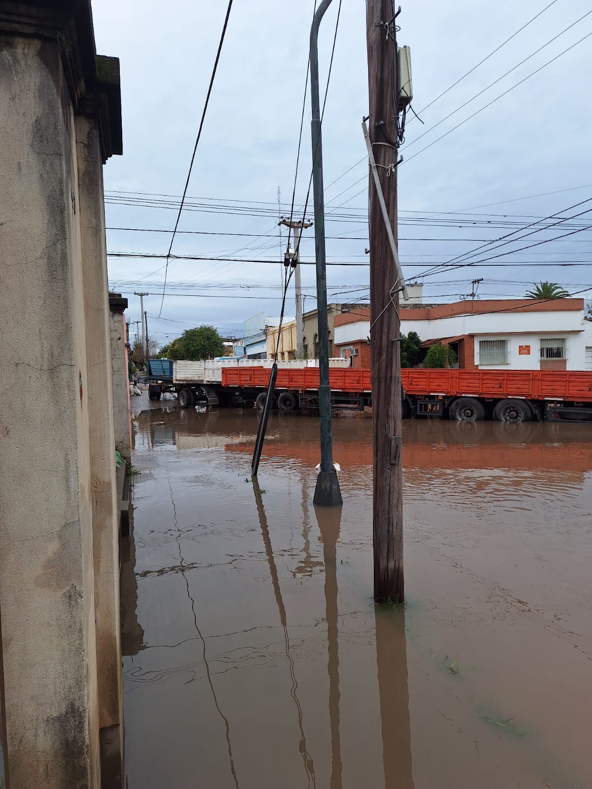 Imagen de la nota