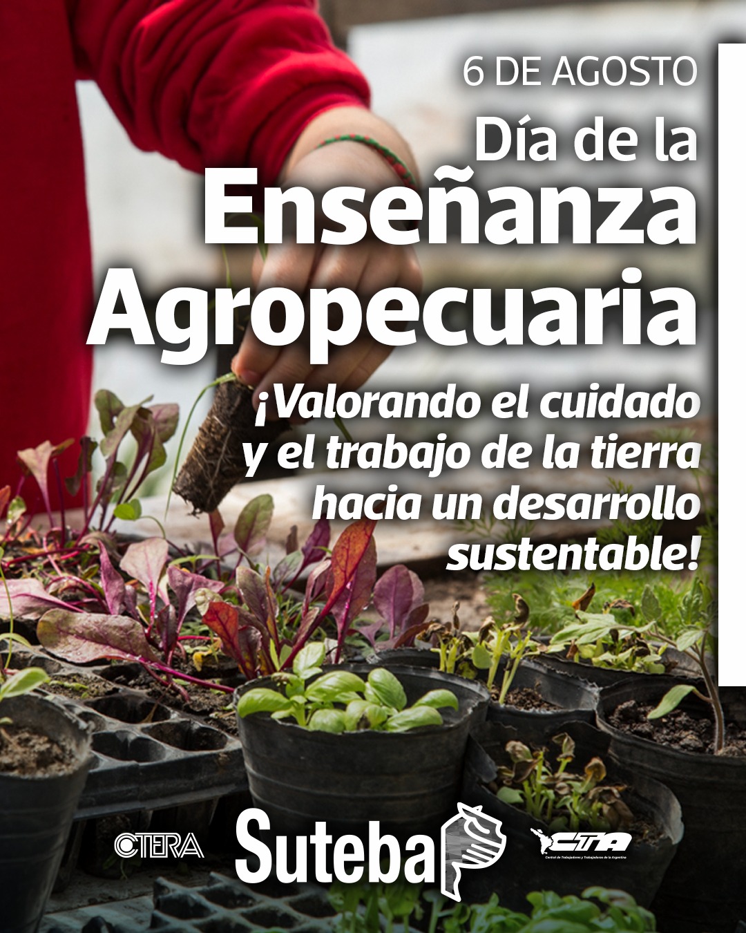 6 DE AGOSTO: DÍA DE LA ENSEÑANZA AGROPECUARIA