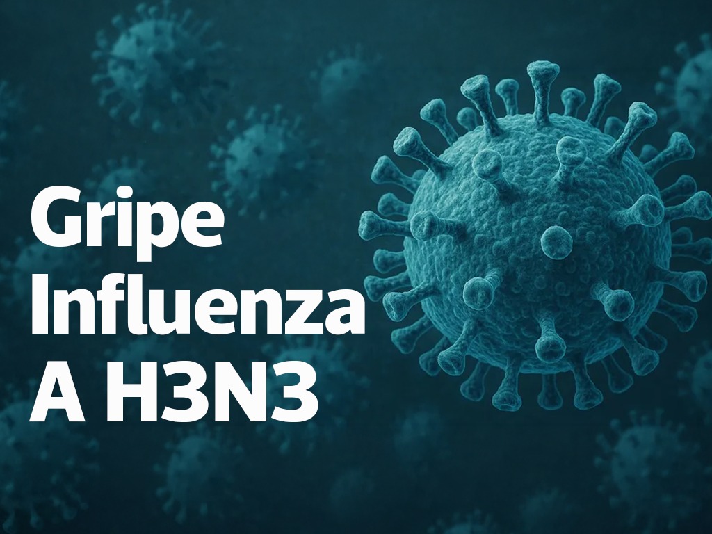 INFORMACIÓN ACERCA DE LA GRIPE INFLUENZA A H3N