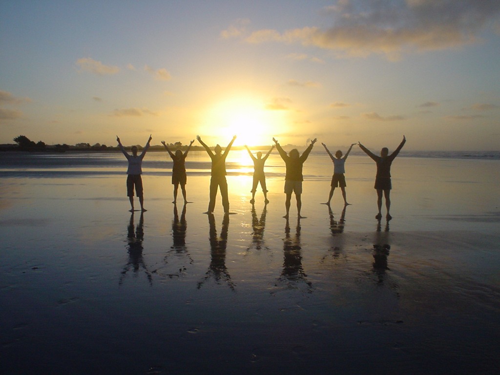 DOCENTES EN ACTIVIDAD