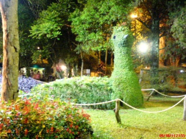 MONTECARLO, MISIONES: FIESTA NACIONAL DE LA ORQUÍDEA Y PROVINCIAL DE LA FLOR