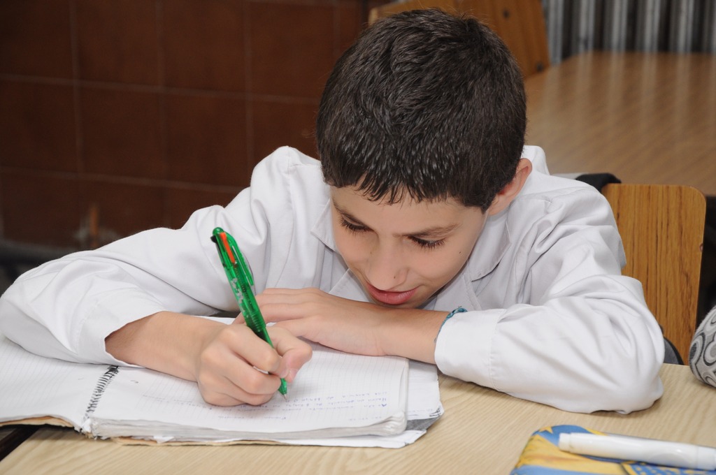 LEY NACIONAL DE PROMOCIÓN Y PROTECCIÓN INTEGRAL DE LOS DERECHOS DEL NIÑO