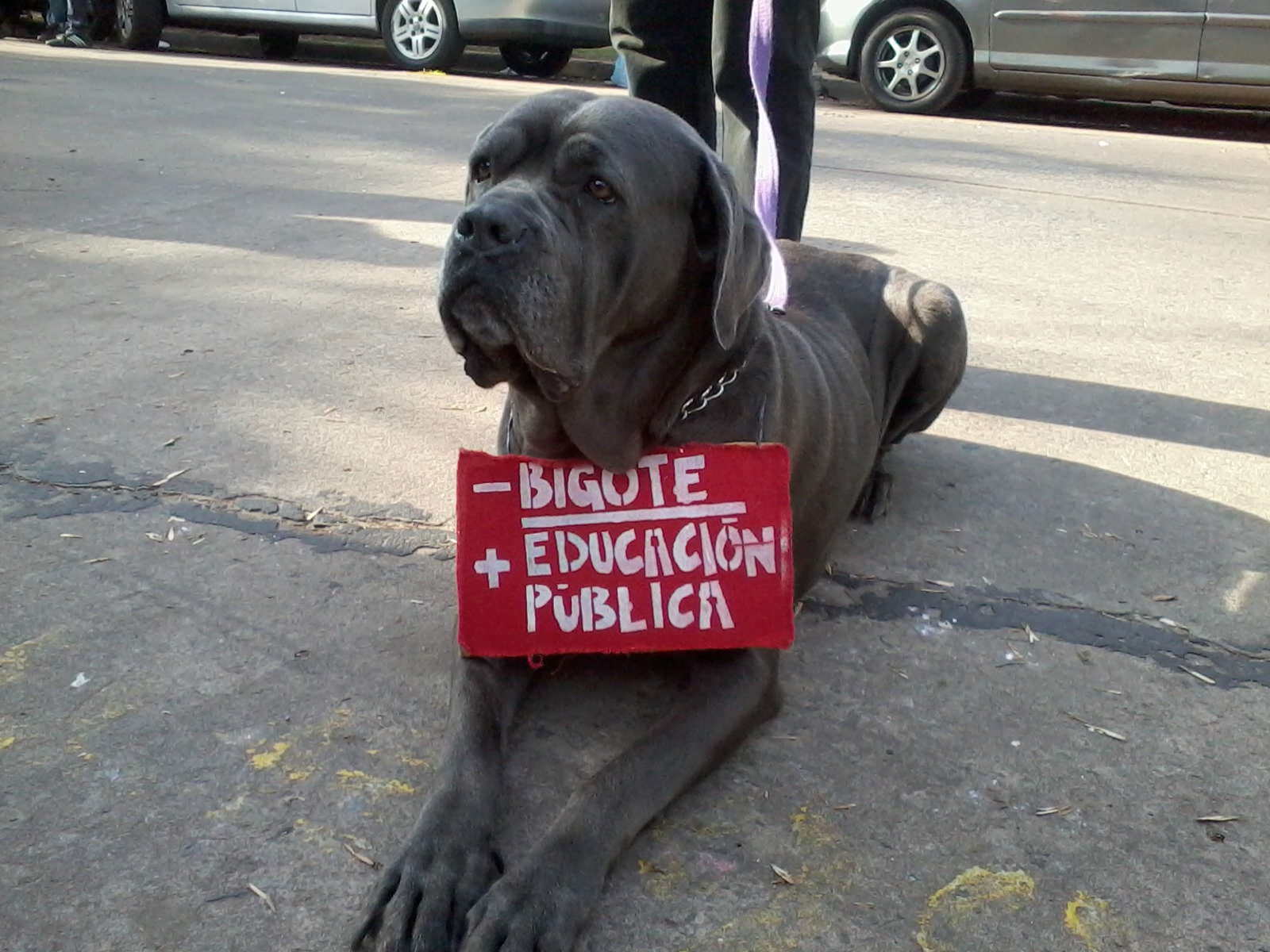 Imagen de la nota
