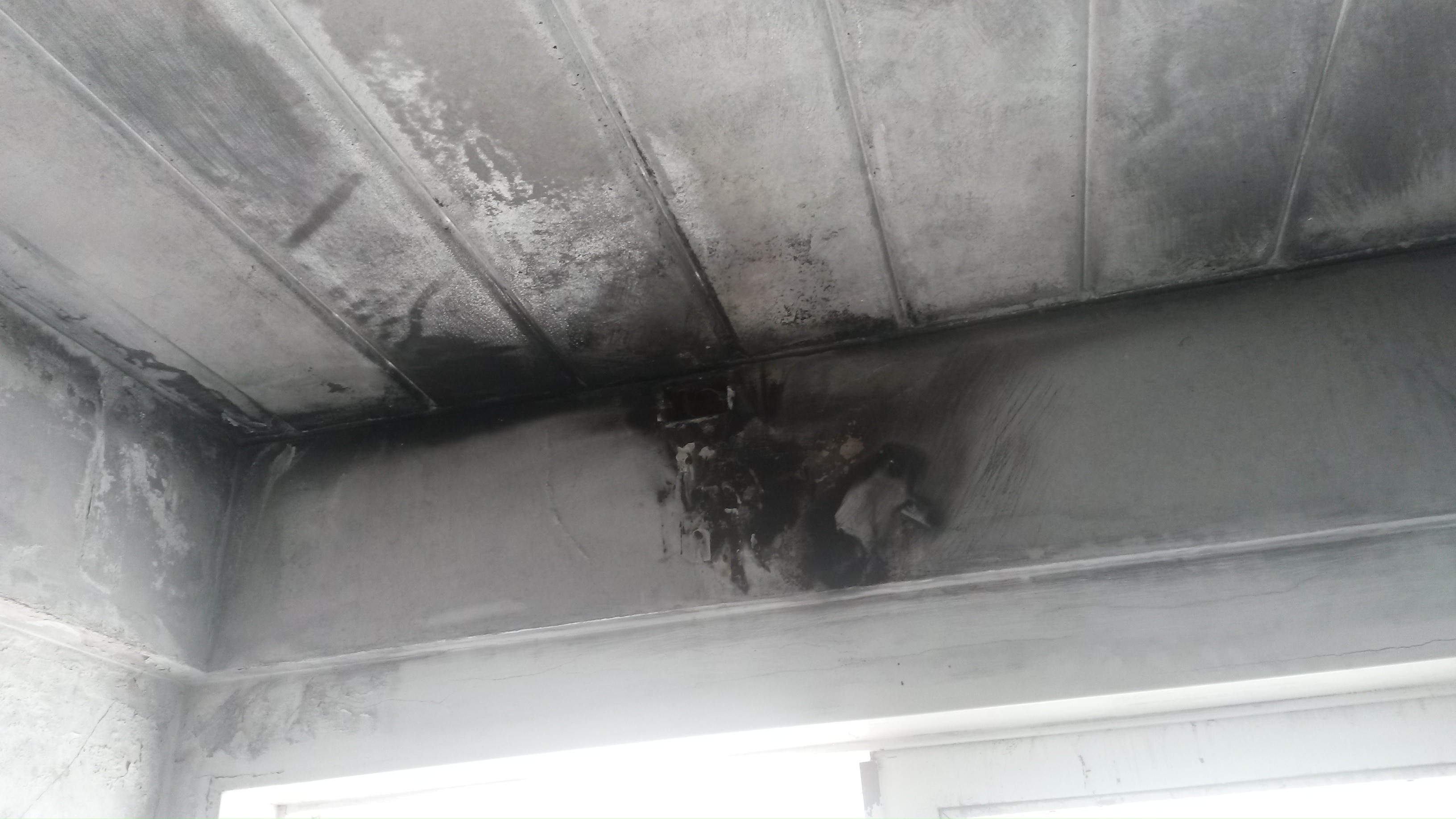 JARDÍN 918 - VICENTE LÓPEZ