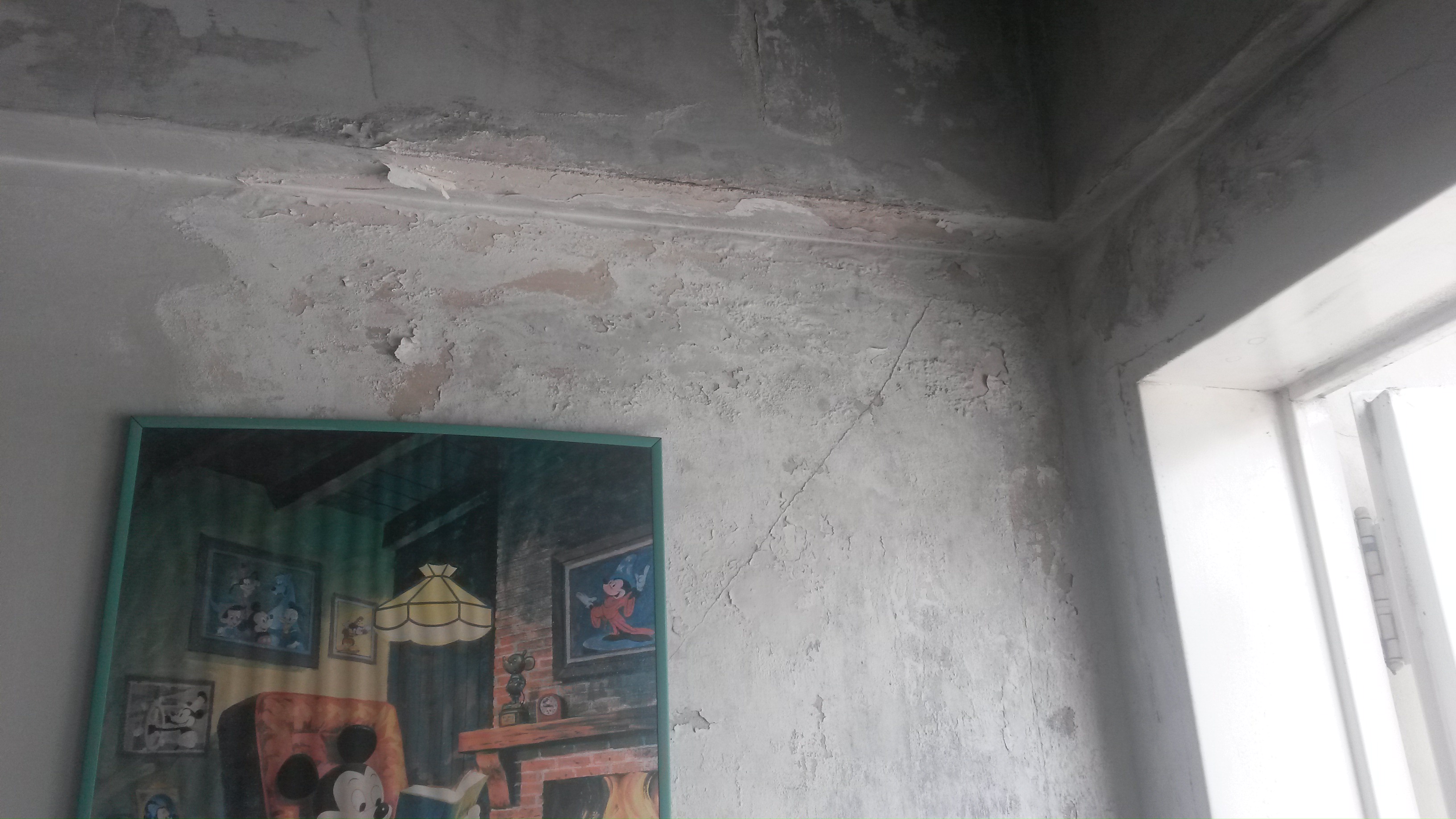 JARDÍN 918 - VICENTE LÓPEZ