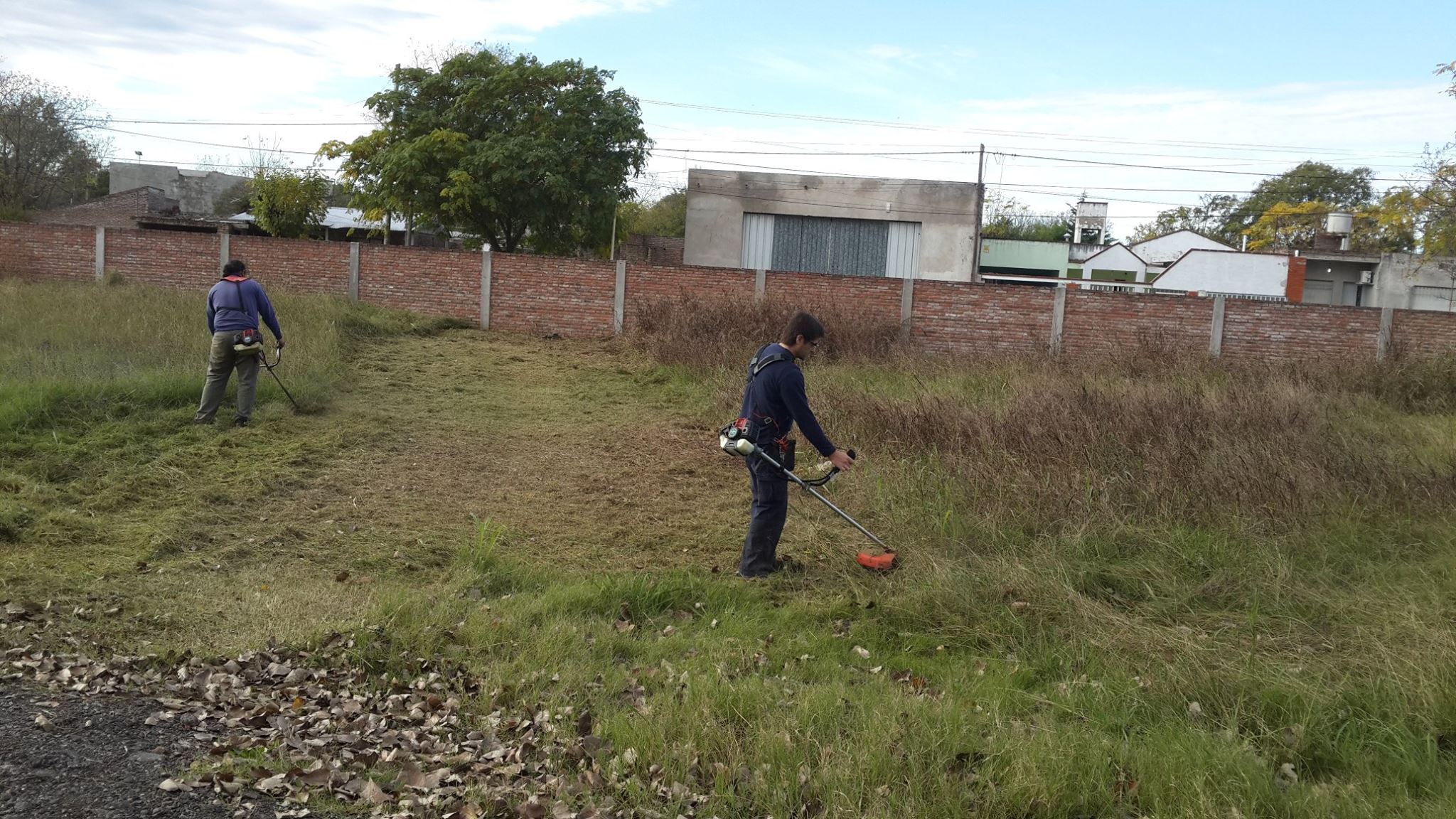 Pergamino