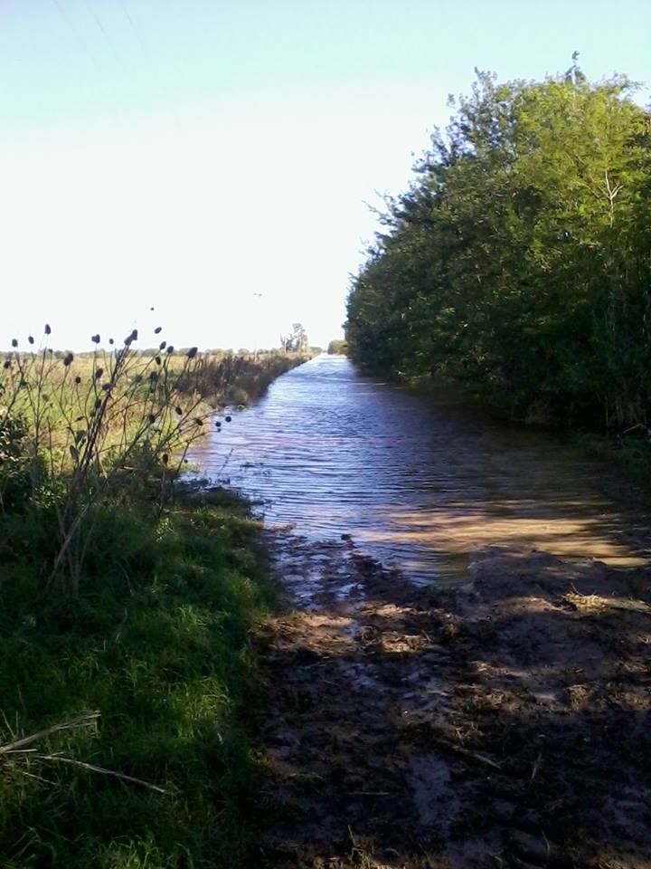Las Heras