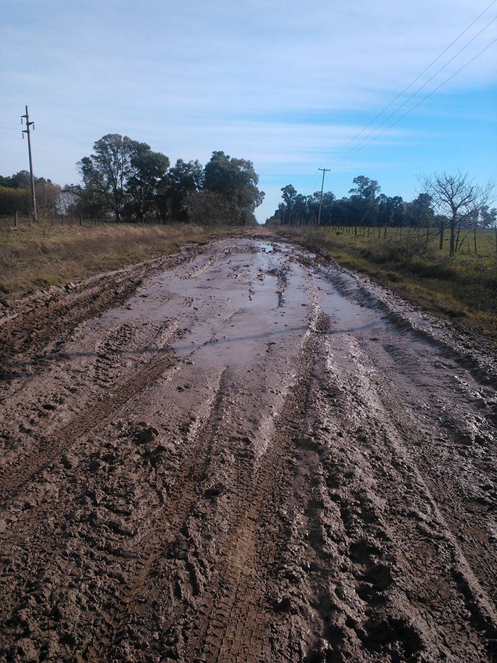 ESCUELAS RURALES: PREOCUPANTE SITUACIÓN POR CAMINOS INTRANSITABLES