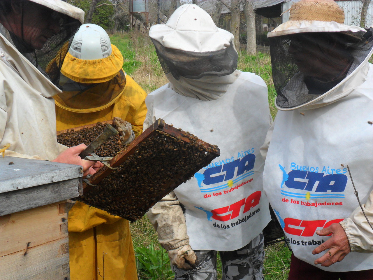 APICULTURA EN EL CFP N° 403