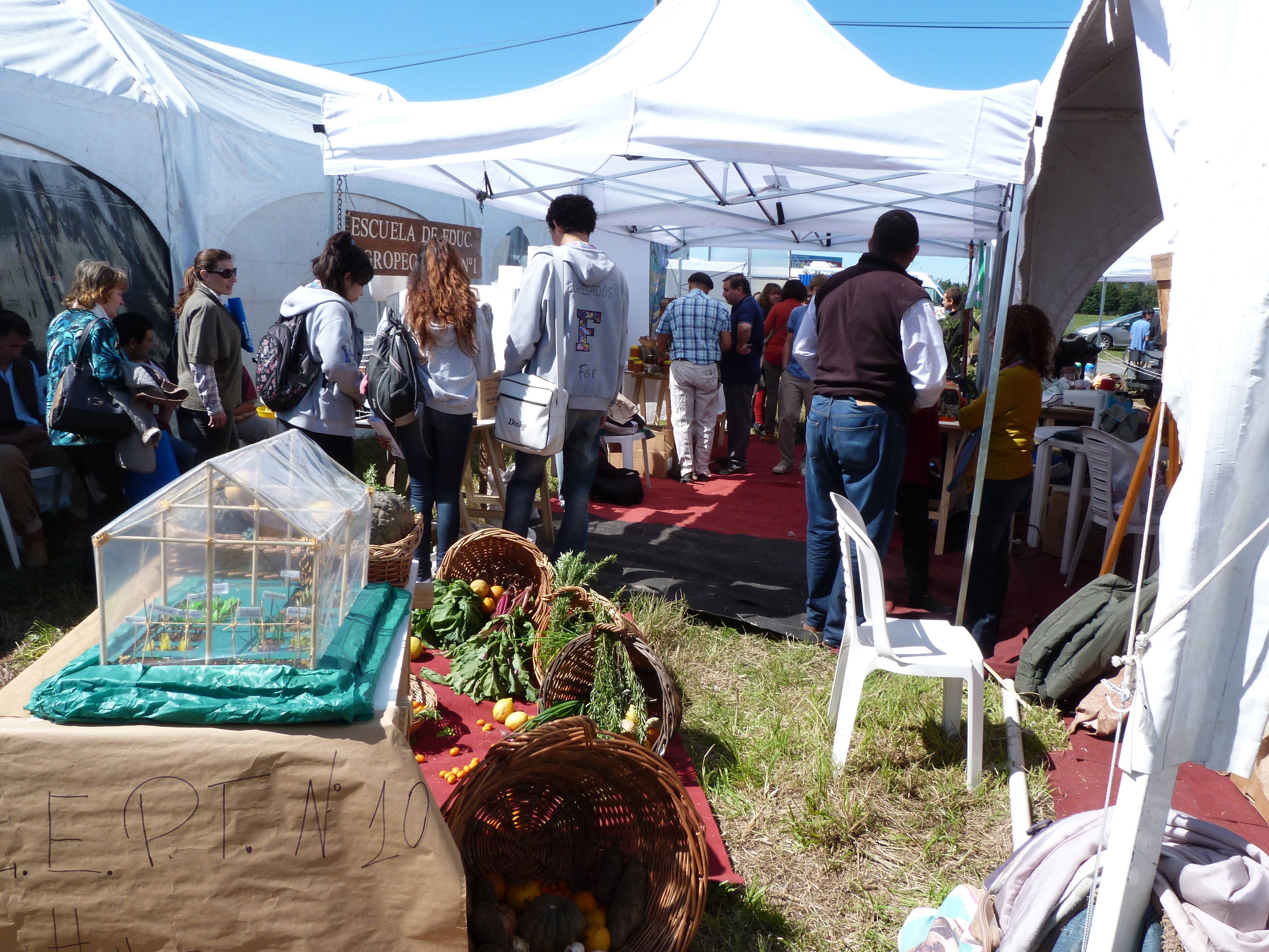 5° ENCUENTRO CAMPANA