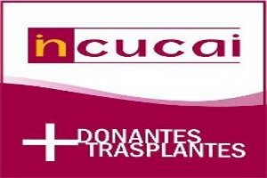 ¿QUÉ ES EL INCUCAI Y CUÁLES SON SUS FUNCIONES?