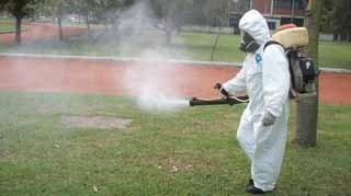 LA DESINSECTACIÓN EN LAS ESCUELAS