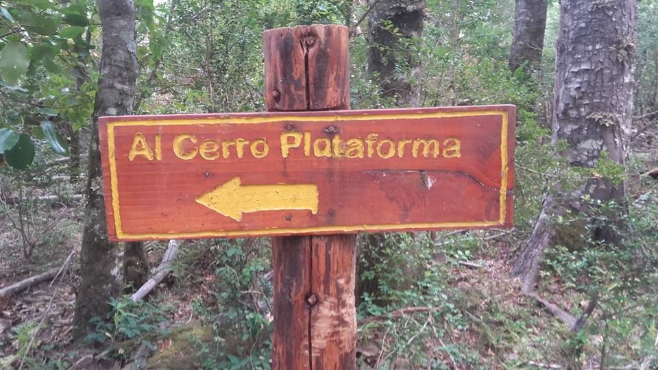 Imagen de la nota