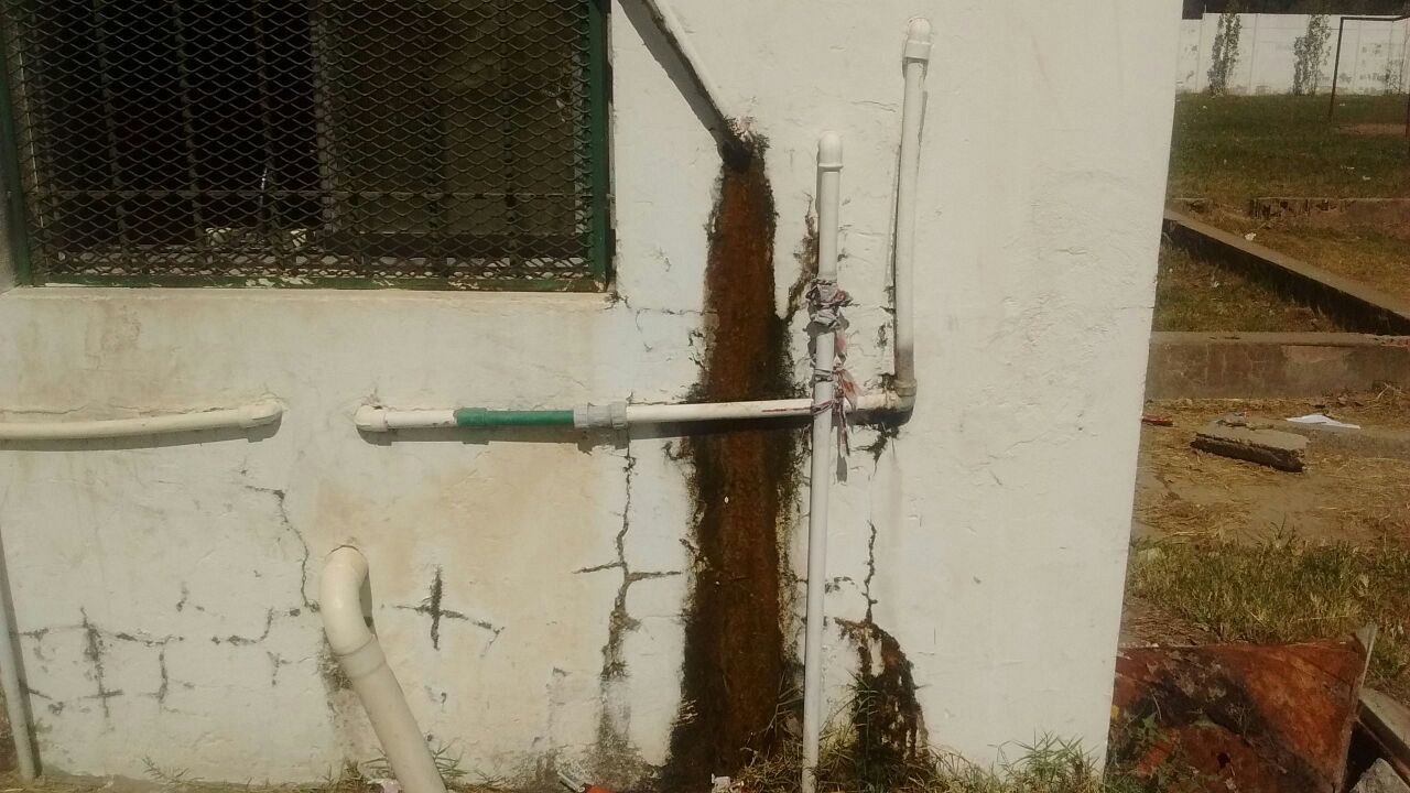 Campana