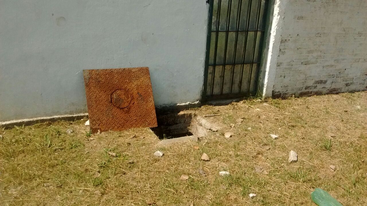 Campana