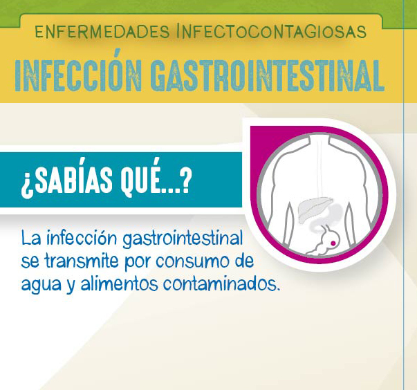 INFORMACIÓN SOBRE ENFERMEDADES INFECTOCONTAGIOSAS
