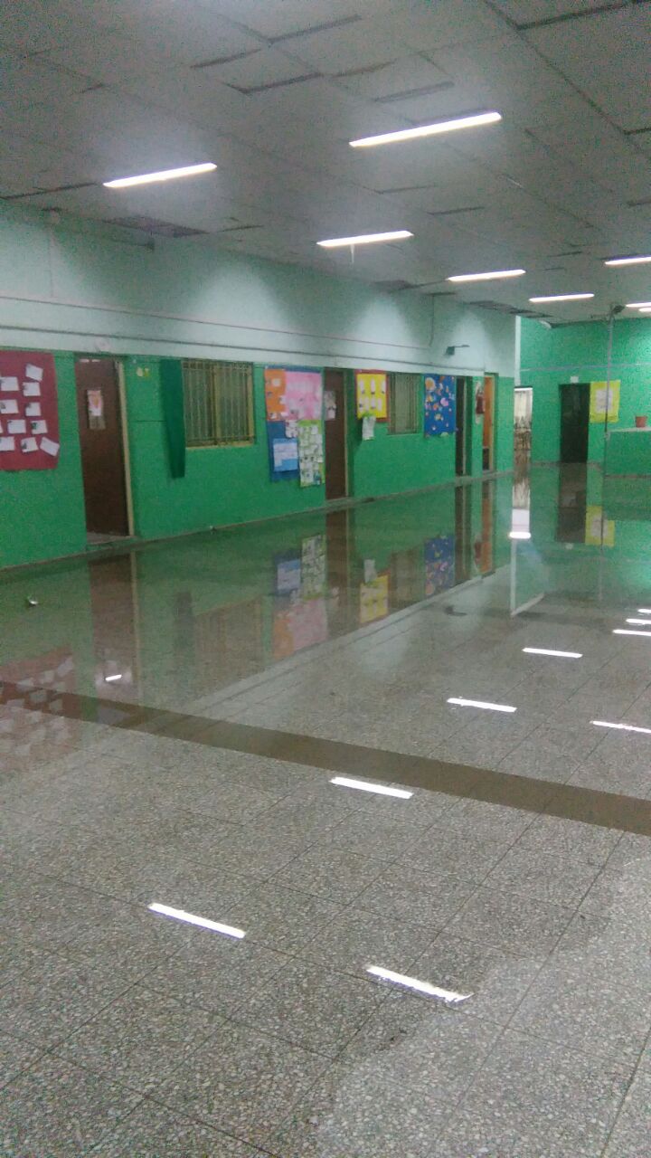 Imagen de la nota