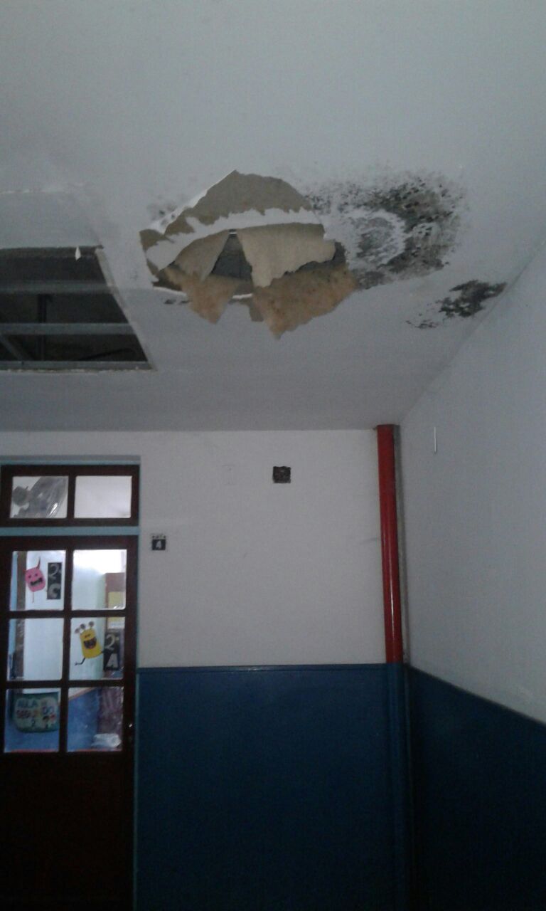 Imagen de la nota