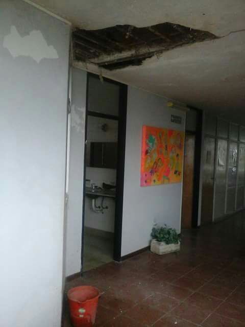 Imagen de la nota