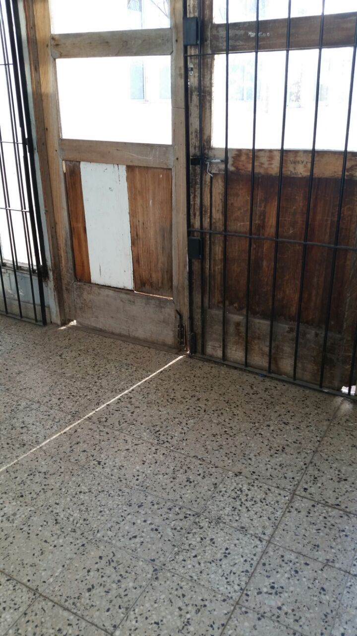 Imagen de la nota