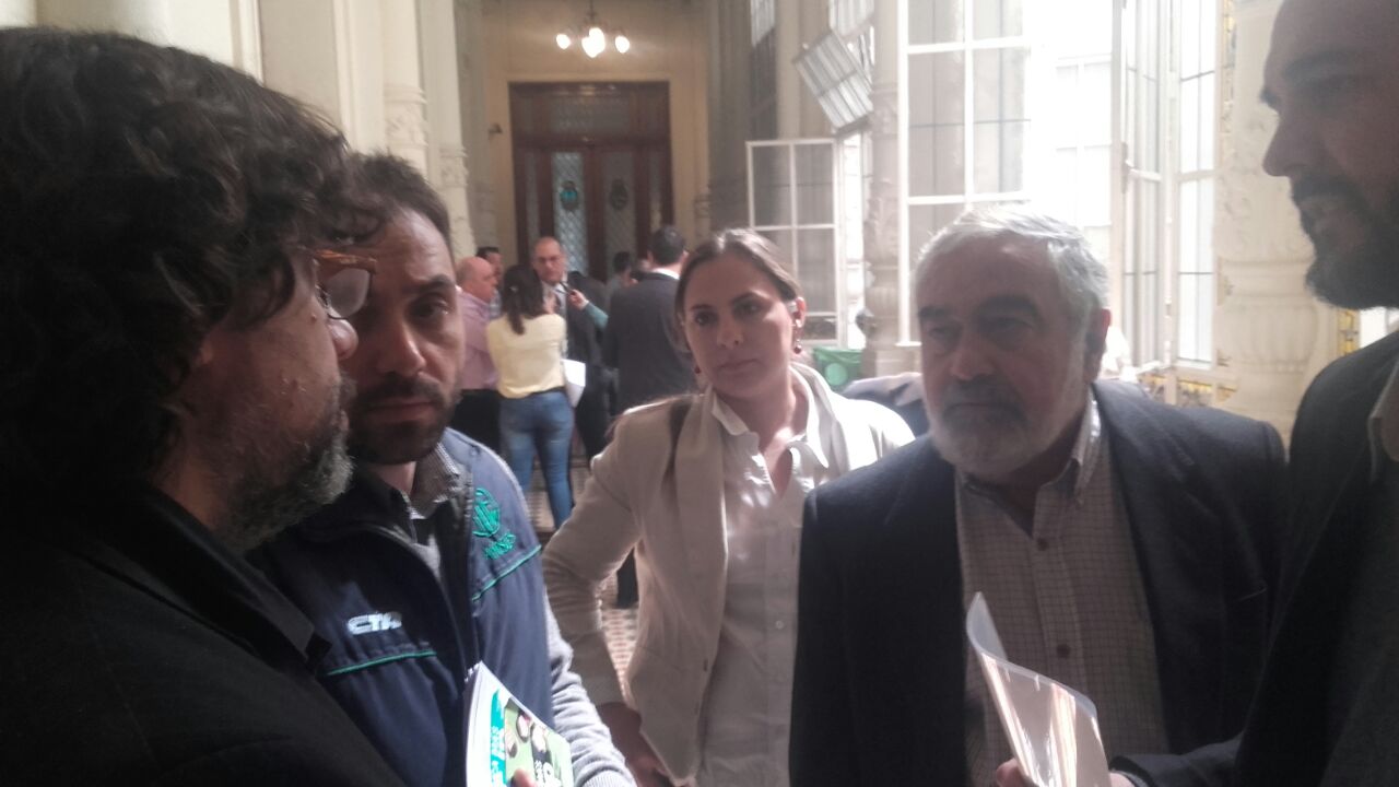 Imagen de la nota