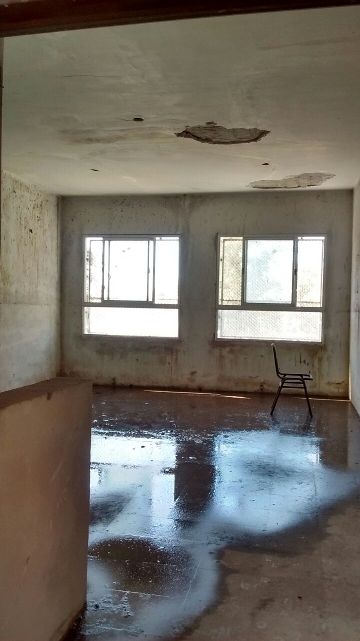 Imagen de la nota