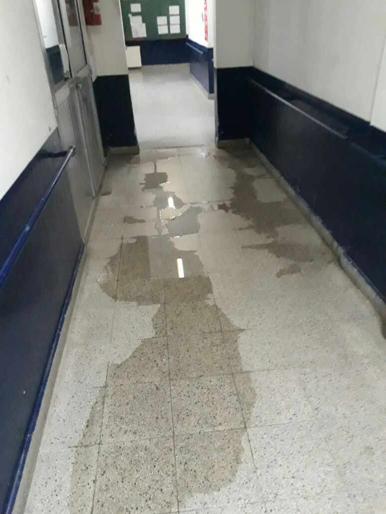 Imagen de la nota