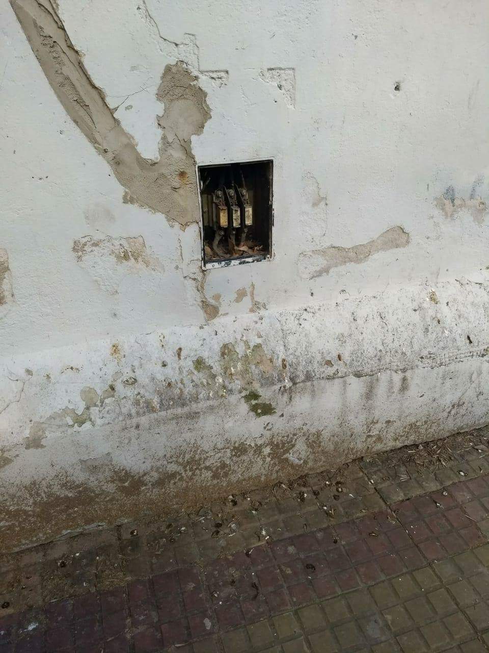 Imagen de la nota