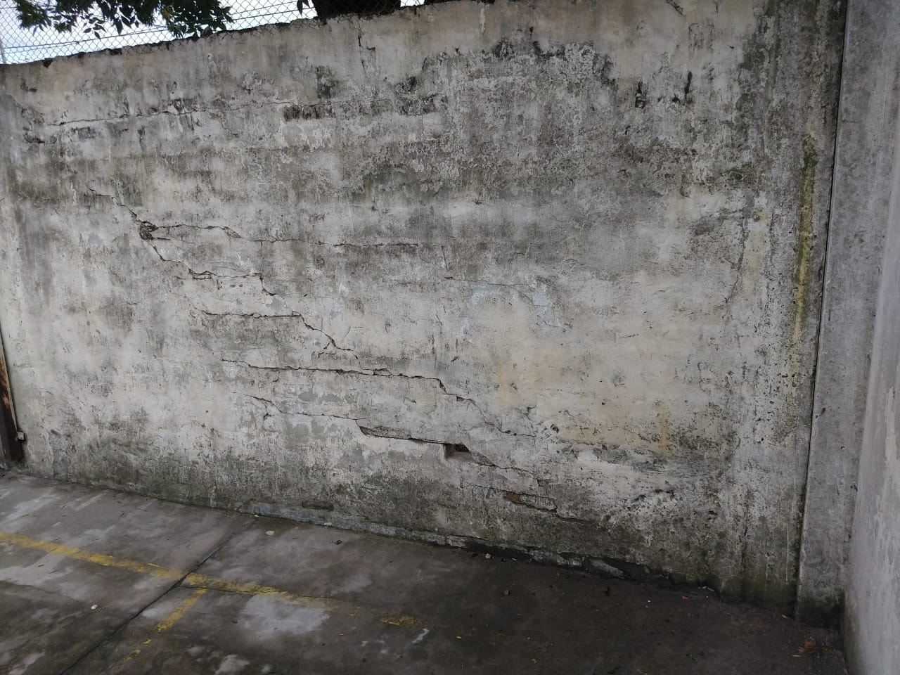 Imagen de la nota