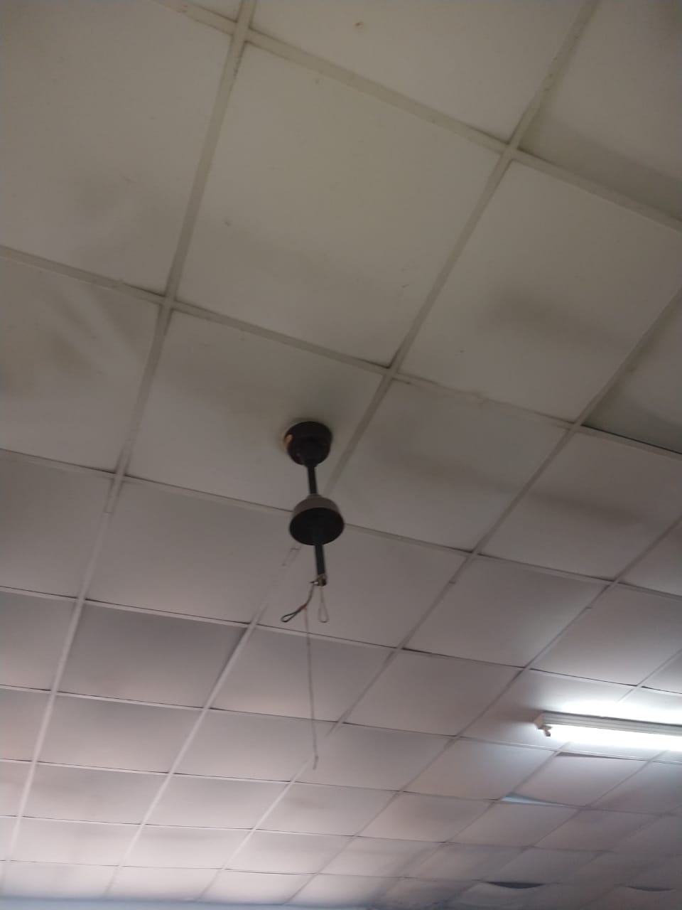 Imagen de la nota