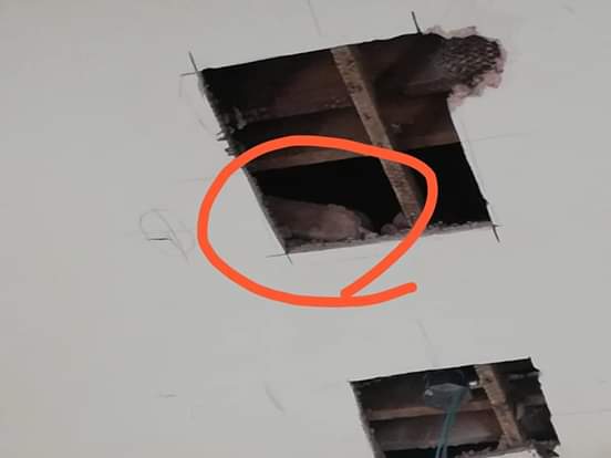 Imagen de la nota