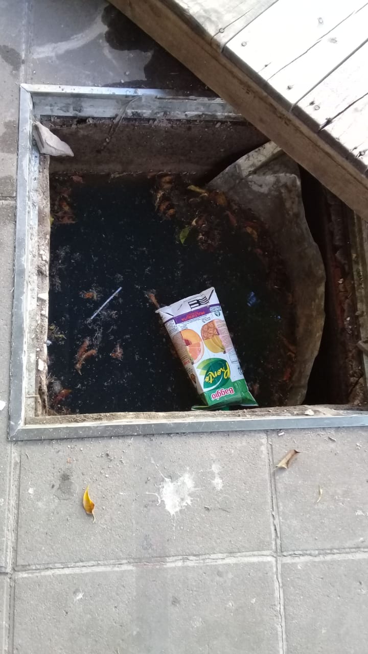 Imagen de la nota