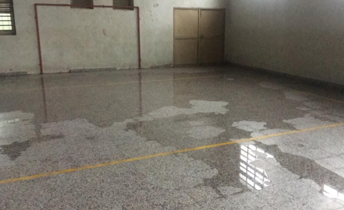 Imagen de la nota