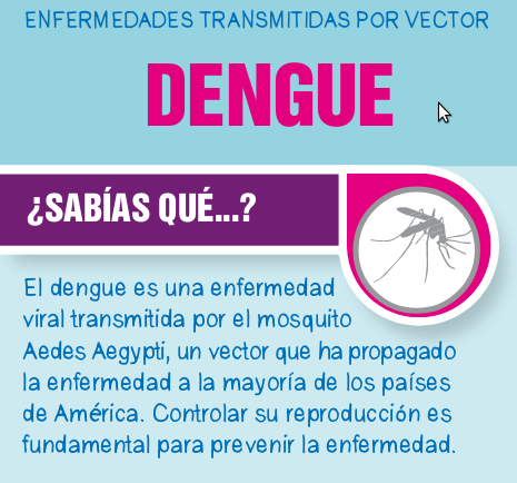 DENGUE: RECOMENDACIONES DE LA COMISASEP PARA COMBATIRLO