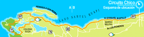 Imagen de la nota