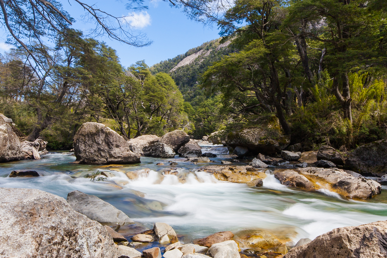 ÁREA NATURAL PROTEGIDA SISTEMA DE DOMUYO