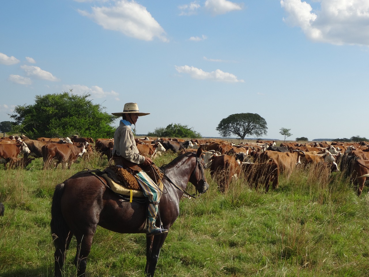 LA PAMPA: INFORMACIÓN GENERAL