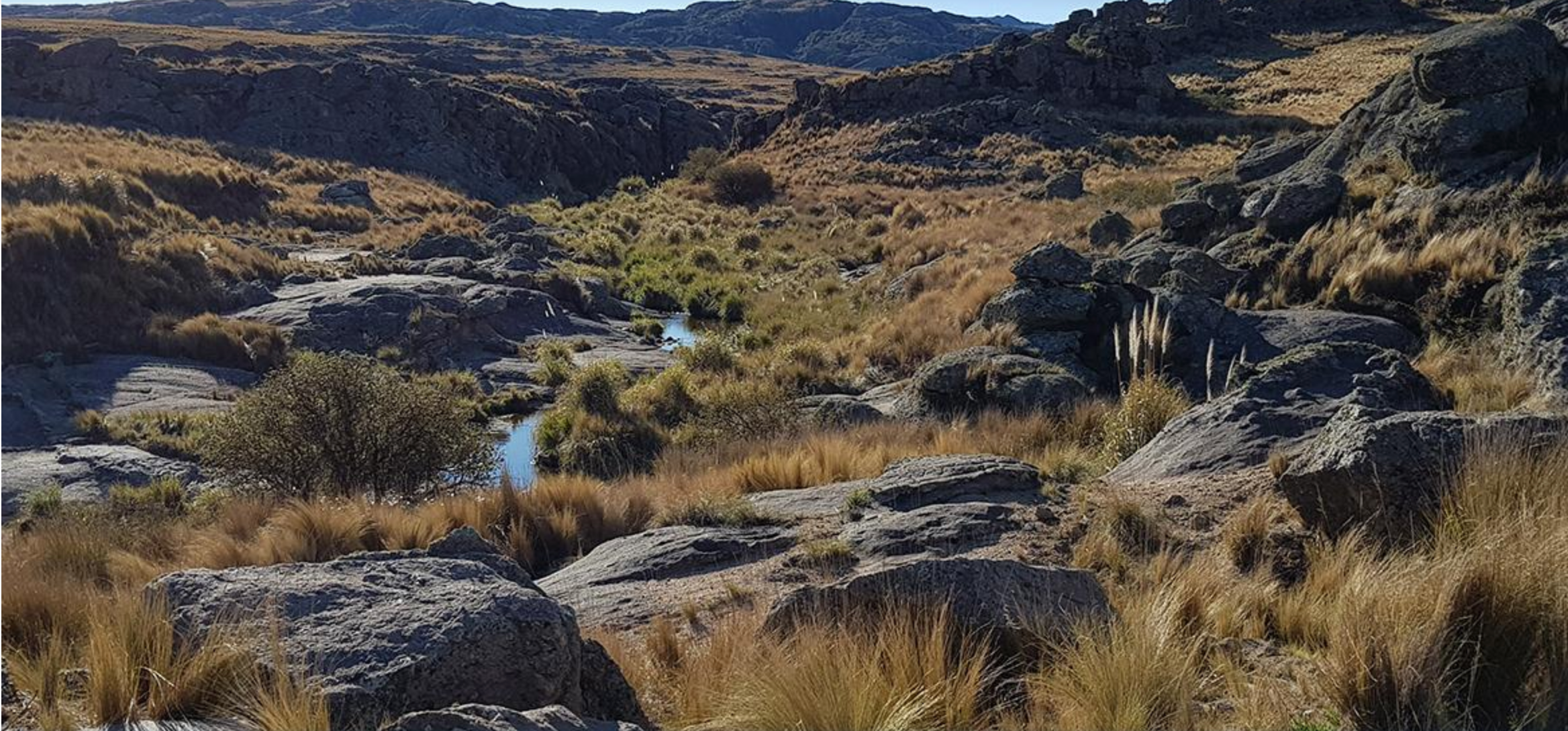 PARQUE NACIONAL QUEBRADA DEL CONDORITO - Suteba