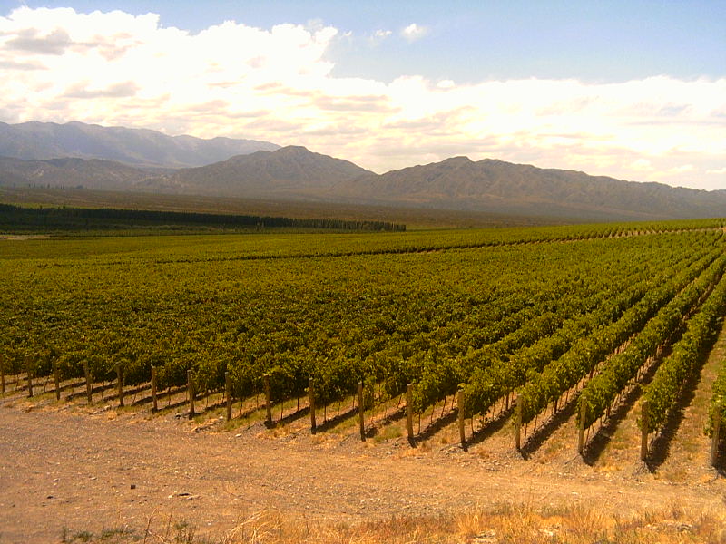 SAN JUAN: INFORMACIÓN GENERAL