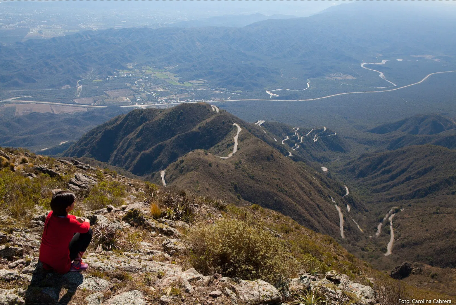 Imagen de la nota