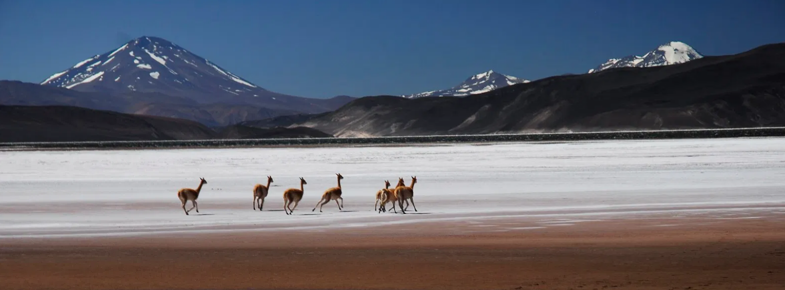 RUTA DE LOS SEISMILES EN CATAMARCA
