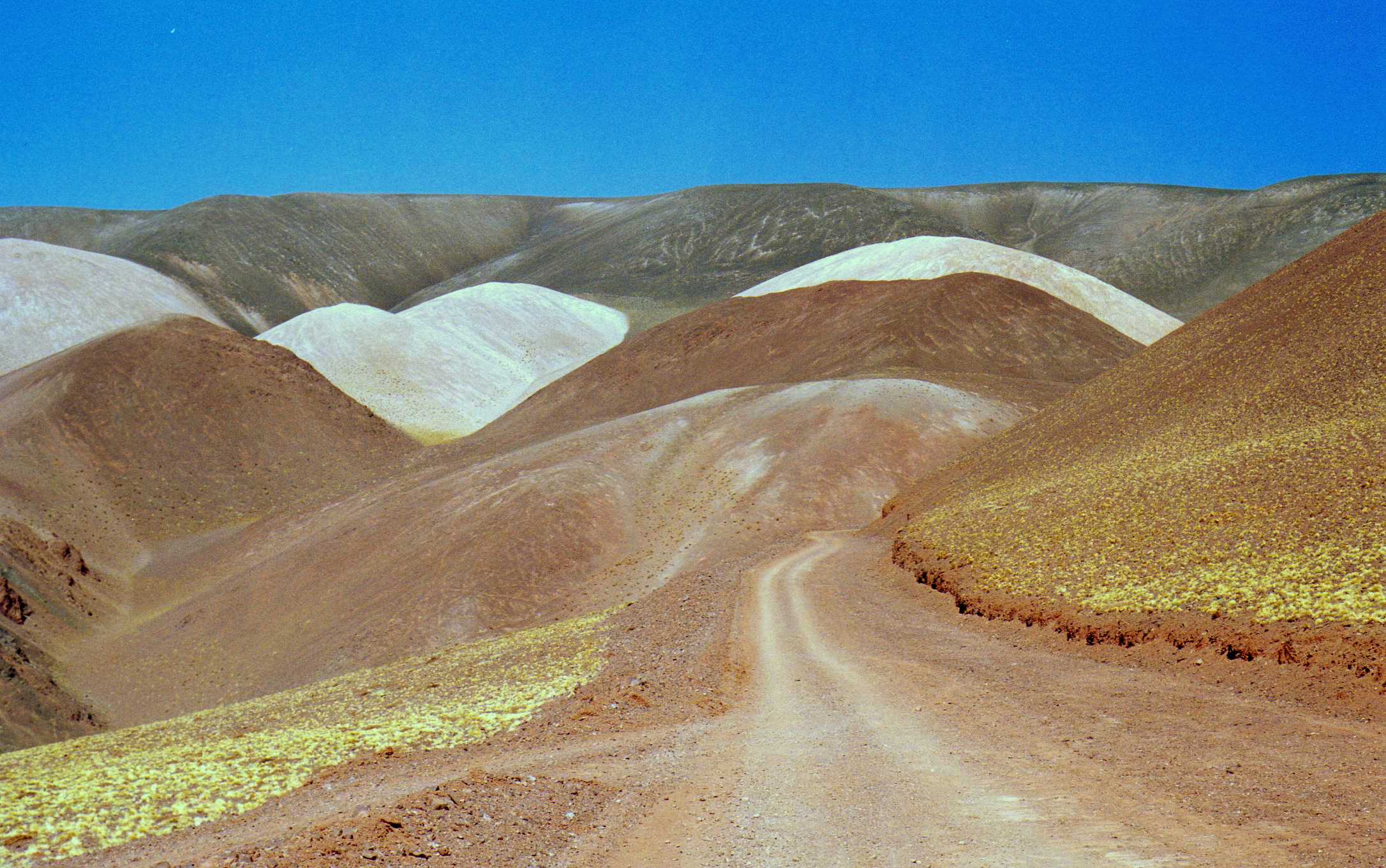 RESERVA LAGUNA BRAVA