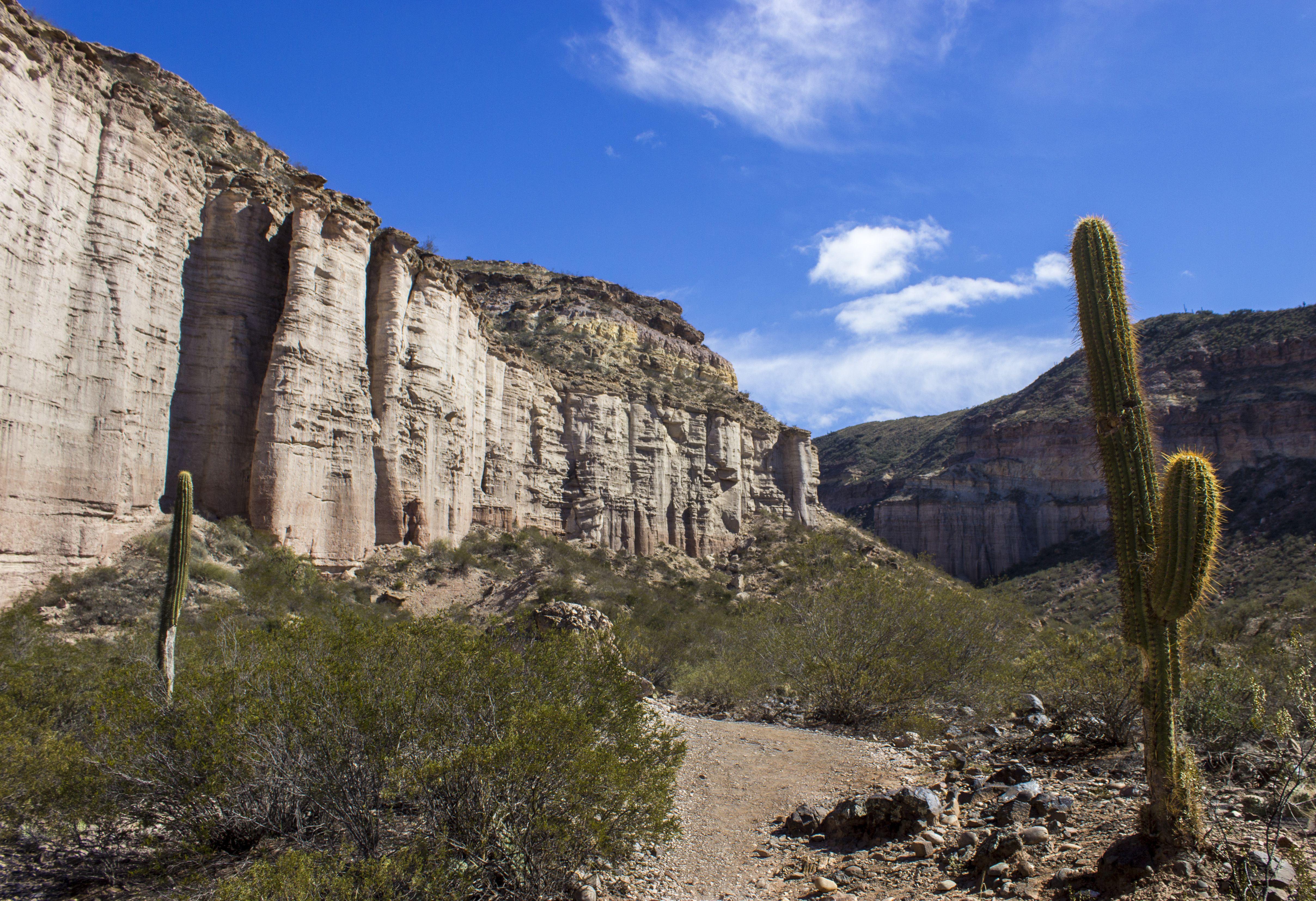 PARQUE PROVINCIAL EL CHIFLÓN