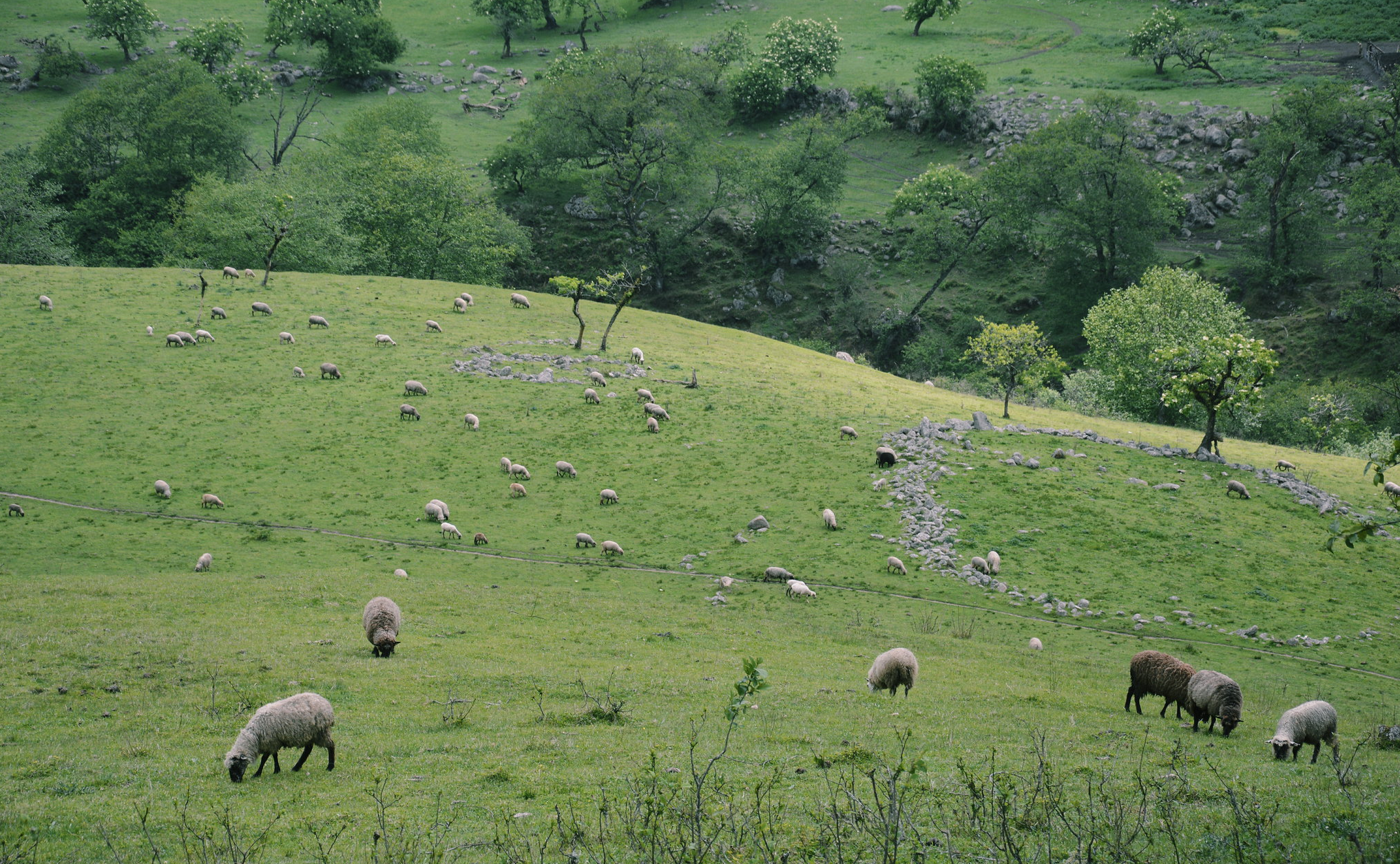 PARQUE NACIONAL ACONQUIJA