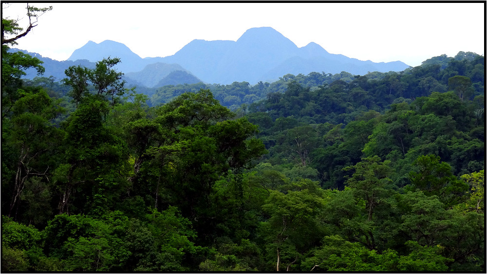 PARQUE NACIONAL CALILEGUA