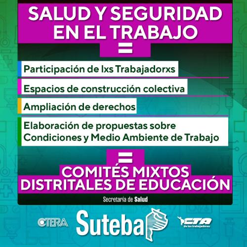 COMITÉS MIXTOS DISTRITALES (CMD)