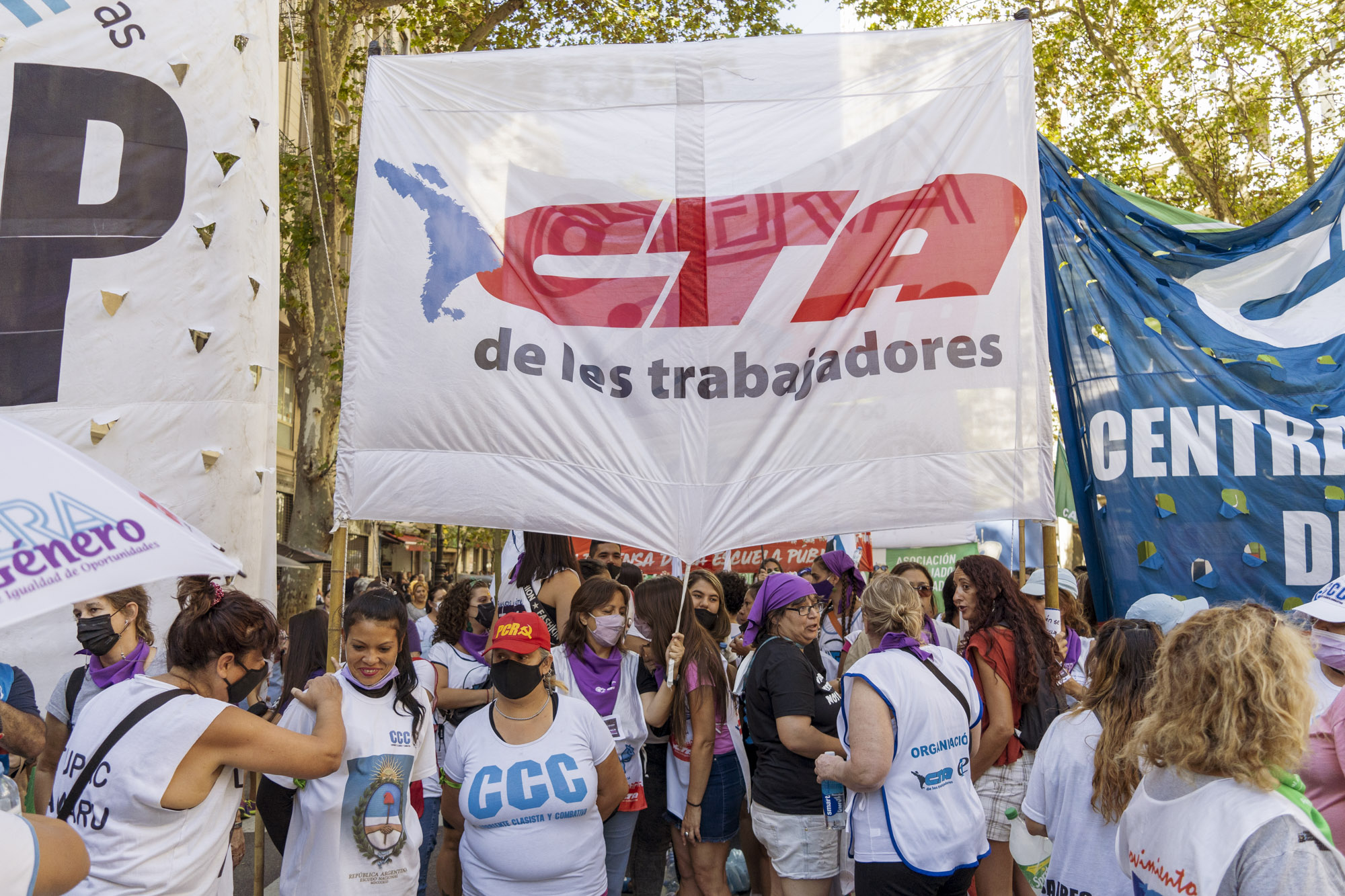 Imagen de la nota